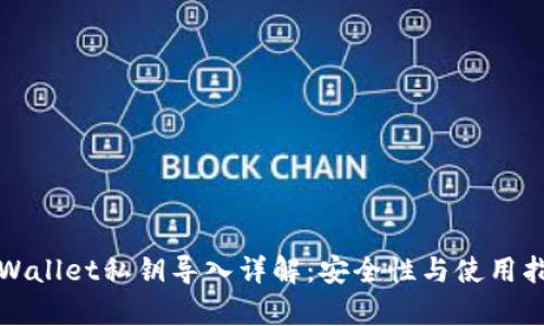tpWallet私钥导入详解：安全性与使用指南