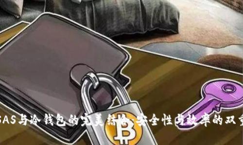 探索SAS与冷钱包的完美结合：安全性与效率的双重保障