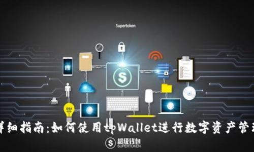 详细指南：如何使用tpWallet进行数字资产管理