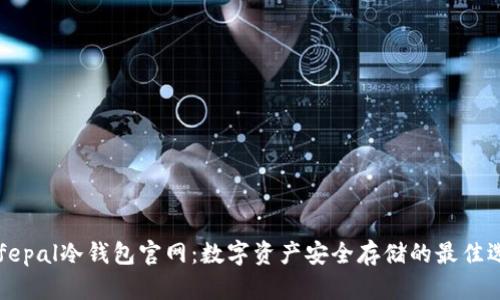Safepal冷钱包官网：数字资产安全存储的最佳选择