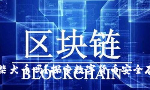 冷钱包能存放柴犬币吗？探索数字货币安全存储的最佳实践