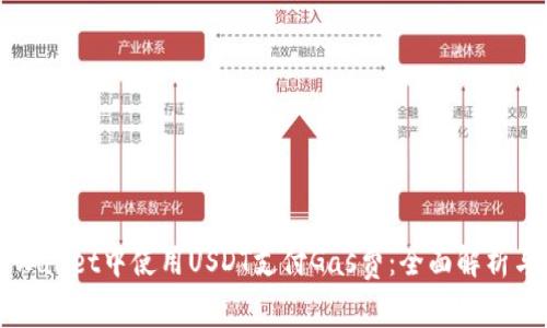 如何在tpWallet中使用USDT支付Gas费：全面解析与实用指南