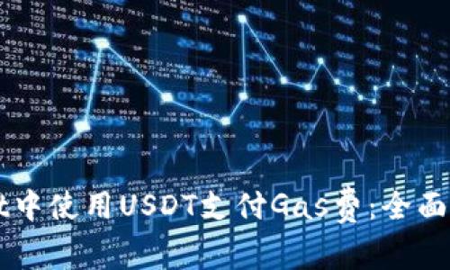 如何在tpWallet中使用USDT支付Gas费：全面解析与实用指南