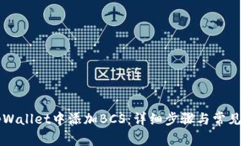 如何在tpWallet中添加BCS：详细步骤与常见问题解答
