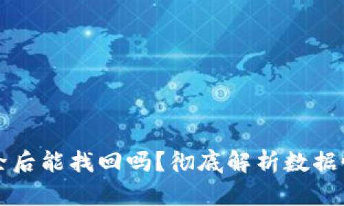 tpWallet删除后能找回吗?彻底解析数据恢复的可能性
