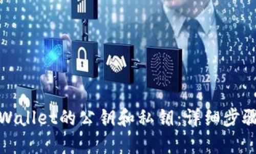 如何查看tpWallet的公钥和私钥：详细步骤与安全须知