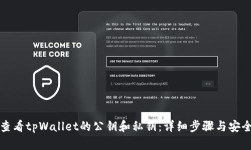 如何查看tpWallet的公钥和私钥：详细步骤与安全须知