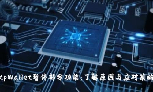 tpWallet暂停部分功能：了解原因与应对策略