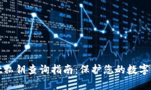 tpWallet私钥查询指南：保护您的数字资产安全