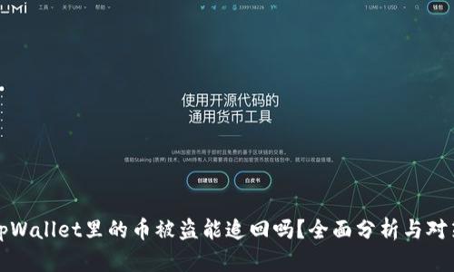 tpWallet里的币被盗能追回吗？全面分析与对策