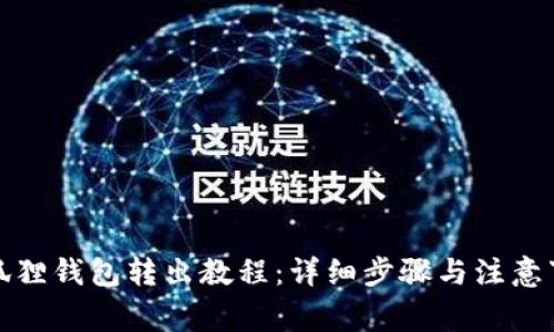 小狐狸钱包转出教程：详细步骤与注意事项
