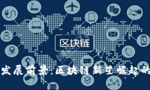 波场币的发展前景：区块链新星崛起的深度解析