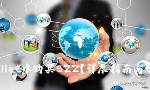 如何在tpWallet中购买BZZ？详尽指南与常见问题解答