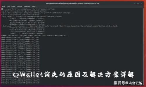 tpWallet消失的原因及解决方案详解