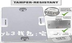 探讨Wyb3钱包：它是冷钱包吗？