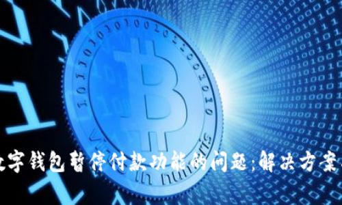 如何应对数字钱包暂停付款功能的问题：解决方案与常见疑问