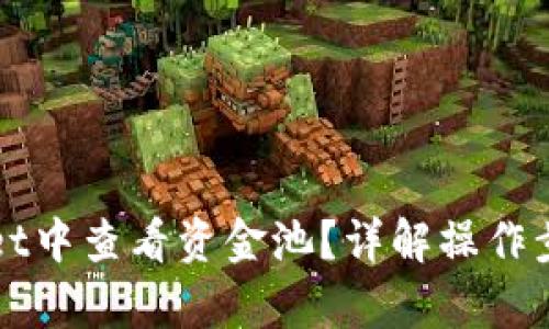 如何在tpWallet中查看资金池？详解操作步骤与相关功能