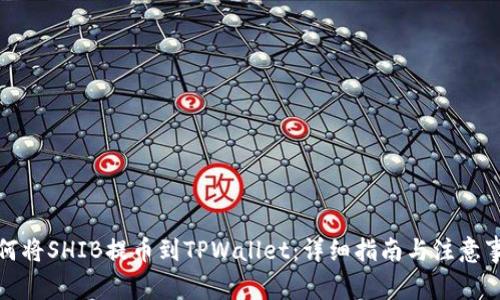 如何将SHIB提币到TPWallet：详细指南与注意事项