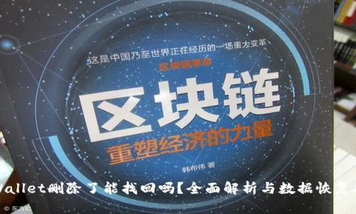 tpWallet删除了能找回吗？全面解析与数据恢复指南