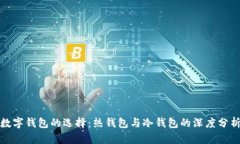 数字钱包的选择：热钱包与冷钱包的深度分析