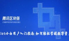 tpWallet小白用户入门指南：如何轻松掌握数字资产