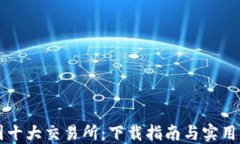 币圈十大交易所：下载指南与实用经验