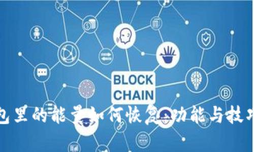 冷钱包里的能量如何恢复：功能与技巧详解