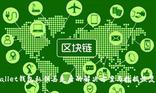 tpWallet钱包私钥丢失后的解决方案与数据恢复指南