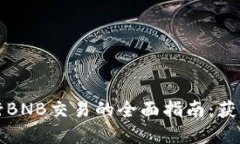 使用tpWallet进行BNB交易的全面指南：获取利润的最
