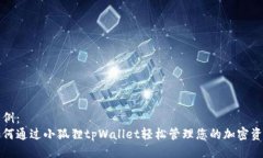 示例：如何通过小狐狸tpWallet轻松管理您的加密资