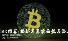 tpWallet推荐：揭秘其真实面貌与潜在风险