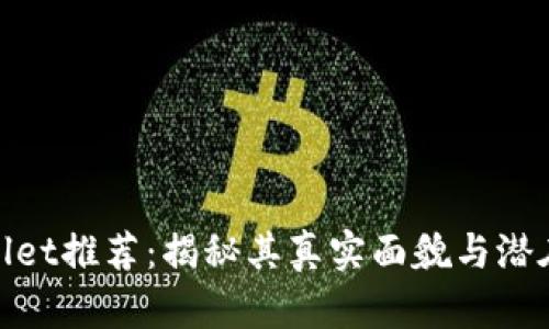 tpWallet推荐：揭秘其真实面貌与潜在风险