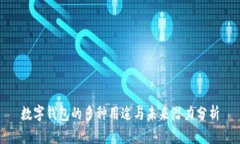 数字钱包的多种用途与未来潜力分析