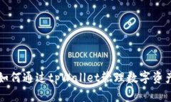tpWallet使用详细教程：如何通过tpWallet管理数字资