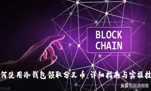 如何使用冷钱包领取分叉币：详细指南与实操技巧