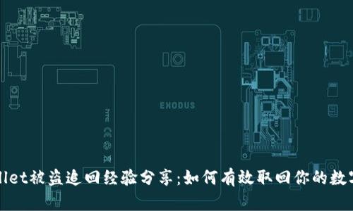 tpWallet被盗追回经验分享：如何有效取回你的数字资产