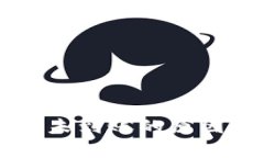 提币到tpWallet未到账的原因解析与解决方法