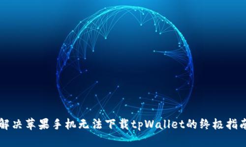 解决苹果手机无法下载tpWallet的终极指南