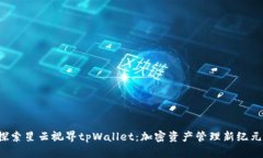 探索星云视界tpWallet：加密资产管理新纪元！