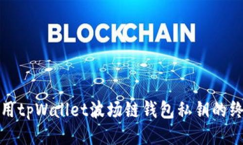 安全使用tpWallet波场链钱包私钥的终极指南