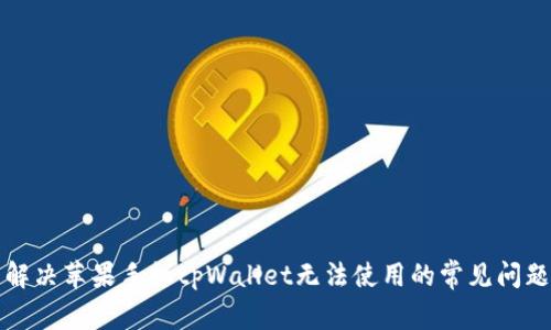 解决苹果手机tpWallet无法使用的常见问题