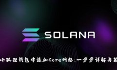 如何在小狐狸钱包中添加Core网络：一步步详解与