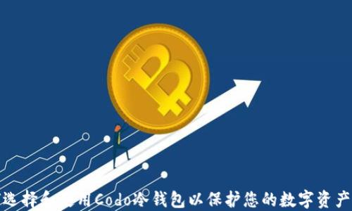 
如何选择和使用Codo冷钱包以保护您的数字资产安全