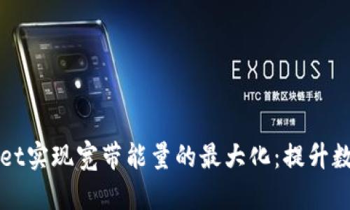 如何通过tpWallet实现宽带能量的最大化：提升数字资产管理效率