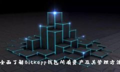 全面了解BitKepp钱包所有资产及其管理方法
