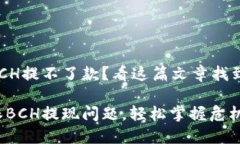 比特派中BCH提不了款？看这篇文章找到解决方案