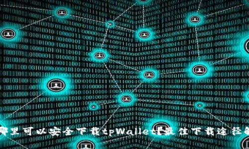 在哪里可以安全下载tpWallet？最佳下载途径解析