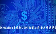 ziaotitpWallet未收到USDT的解决方案与常见问题解析