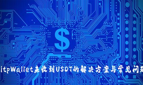 ziaotitpWallet未收到USDT的解决方案与常见问题解析