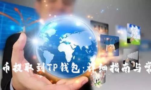 如何将Doge币提取到TP钱包：详细指南与常见问题解答